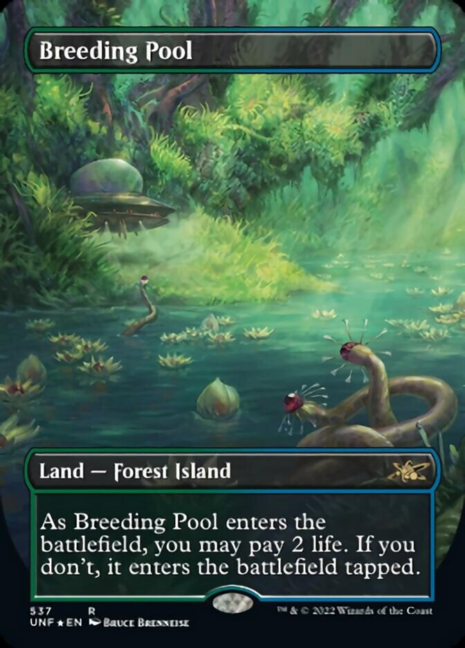 Breeding Pool (Borderless) (Galaxy Foil) [Unfinity] | GnG Games