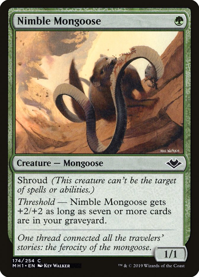 Nimble Mongoose [Modern Horizons] | GnG Games