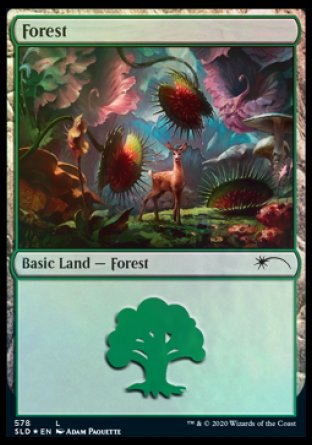 Forest (Predatory) (578) [Secret Lair Drop Promos] | GnG Games