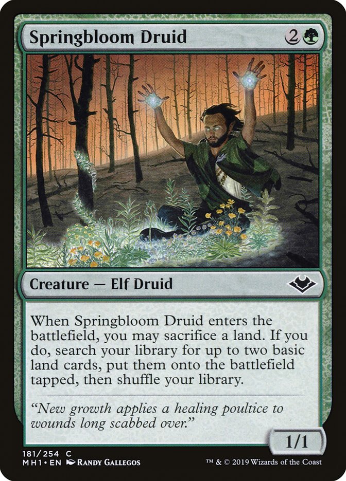 Springbloom Druid [Modern Horizons] | GnG Games