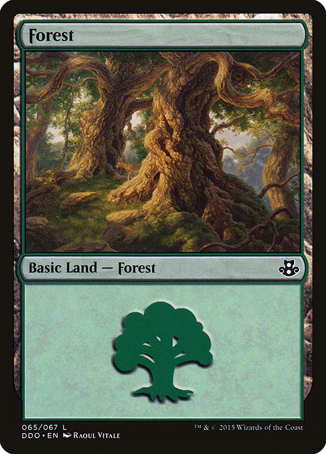 Forest (65) [Duel Decks: Elspeth vs. Kiora] | GnG Games