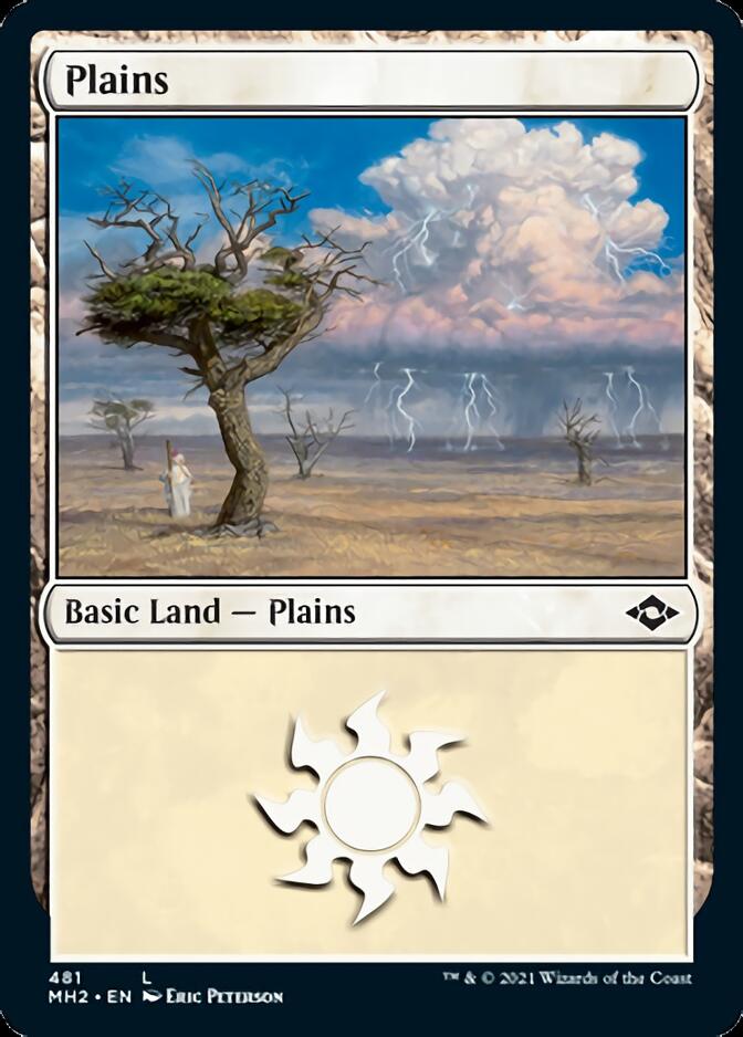 Plains (481) (Foil Etched) [Modern Horizons 2] | GnG Games