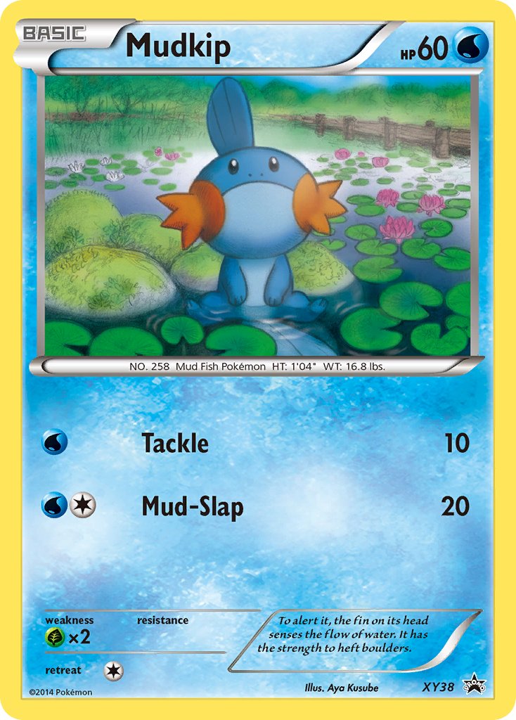 Mudkip (XY38) [XY: Black Star Promos] | GnG Games