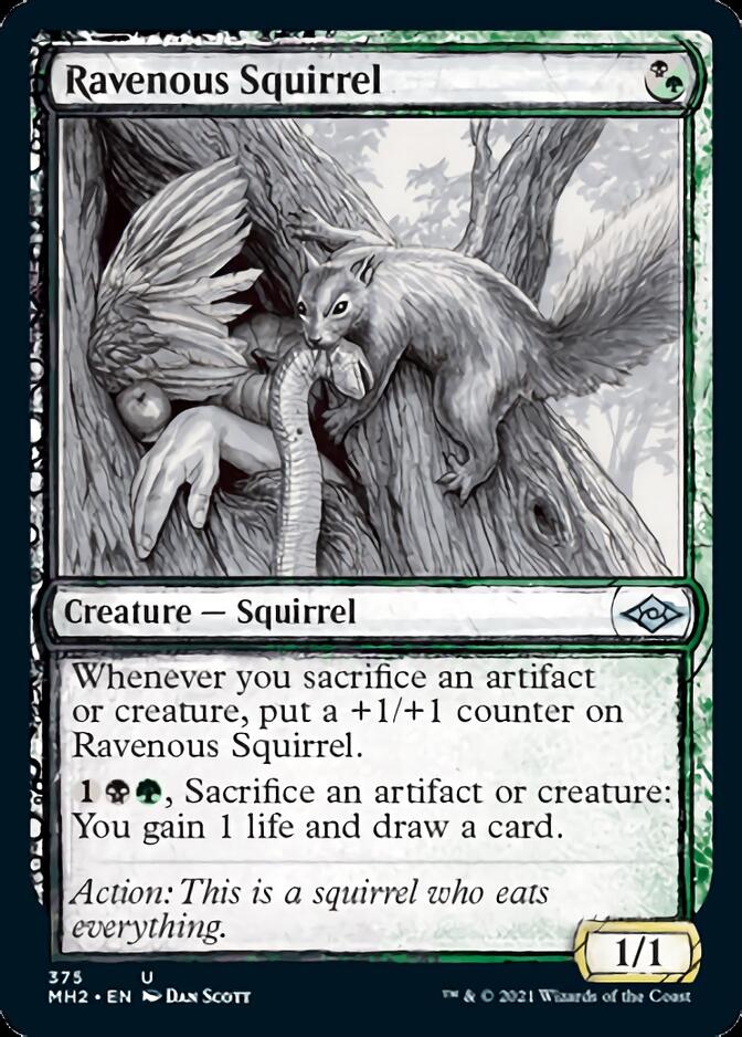 Ravenous Squirrel (Sketch) [Modern Horizons 2] | GnG Games