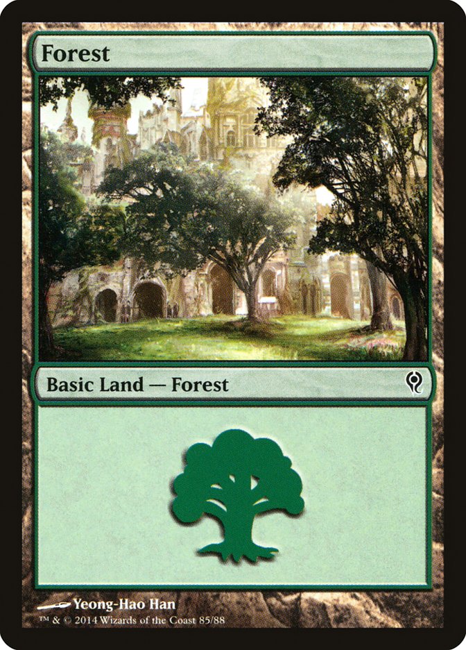 Forest (85) [Duel Decks: Jace vs. Vraska] | GnG Games