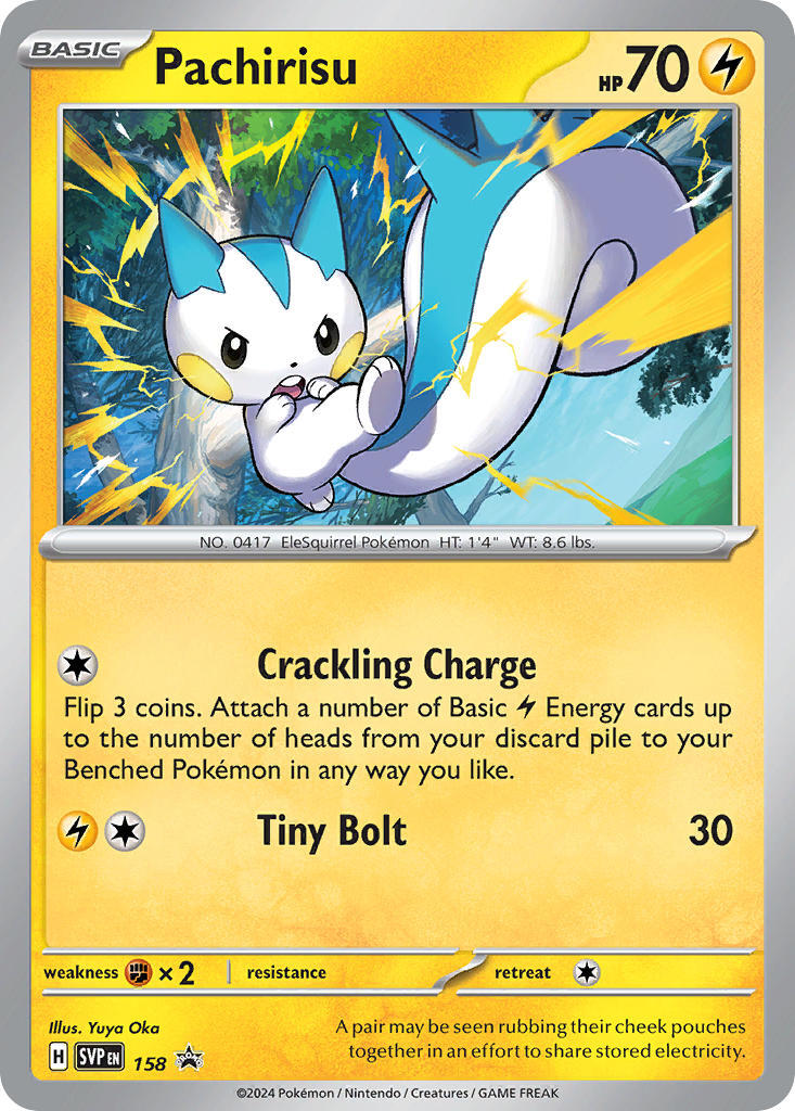 Pachirisu (158) [Scarlet & Violet: Black Star Promos] | GnG Games