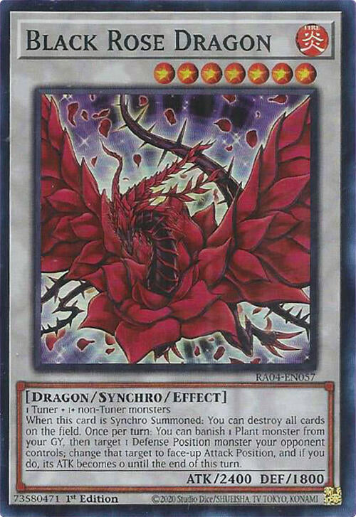 Black Rose Dragon [RA04-EN057] Super Rare | GnG Games