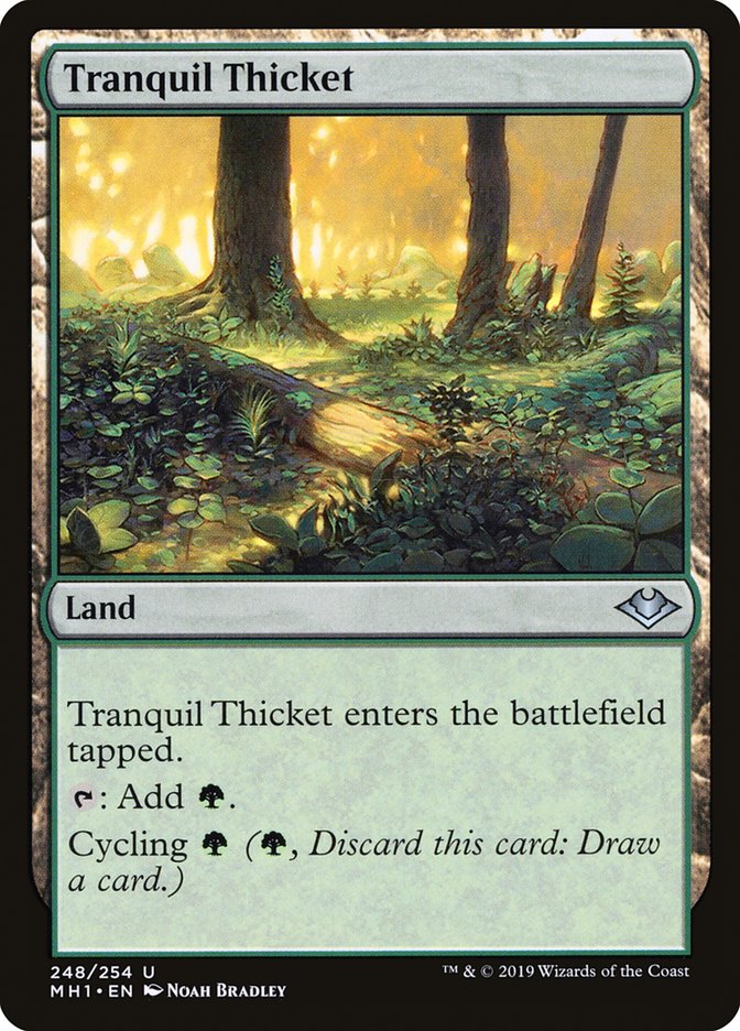 Tranquil Thicket [Modern Horizons] | GnG Games