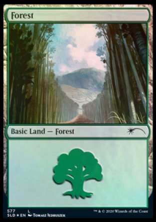 Forest (Walls) (577) [Secret Lair Drop Promos] | GnG Games