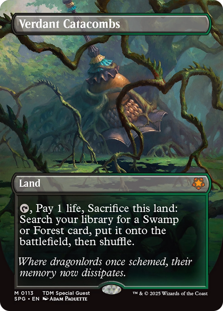 Verdant Catacombs (Borderless) [Tarkir: Dragonstorm Special Guests] | GnG Games