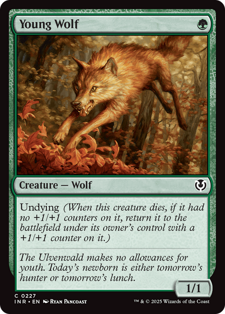 Young Wolf [Innistrad Remastered] | GnG Games