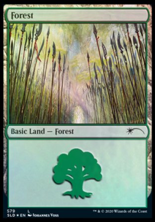 Forest (Elves) (579) [Secret Lair Drop Promos] | GnG Games