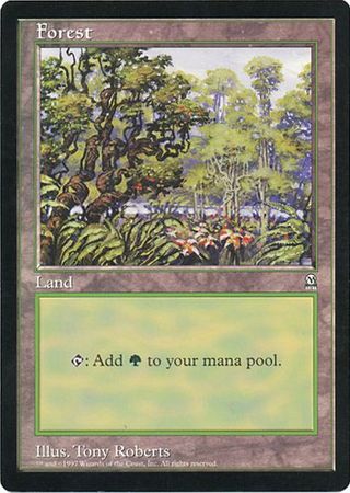 Forest (Oversized) [Oversize Cards] | GnG Games