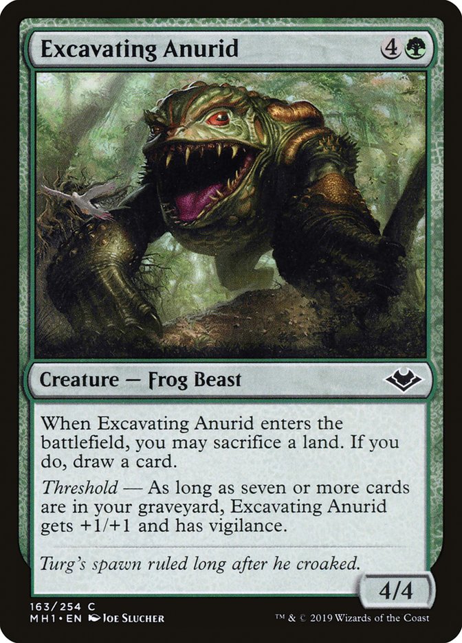 Excavating Anurid [Modern Horizons] | GnG Games