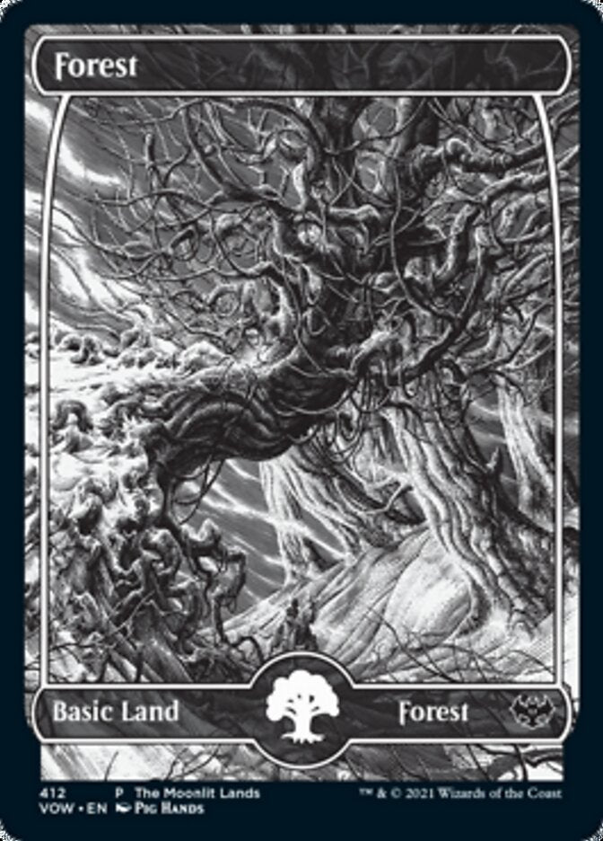 Forest (The Moonlit Lands) (Foil Etched) [Innistrad: Crimson Vow Promos] | GnG Games