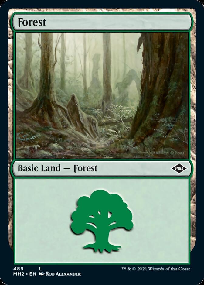 Forest (489) (Foil Etched) [Modern Horizons 2] | GnG Games