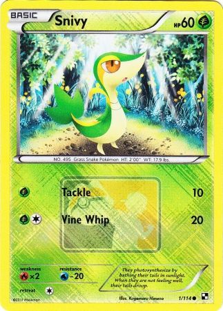 Snivy (1/114) (League Promo) [Black & White: Base Set] | GnG Games