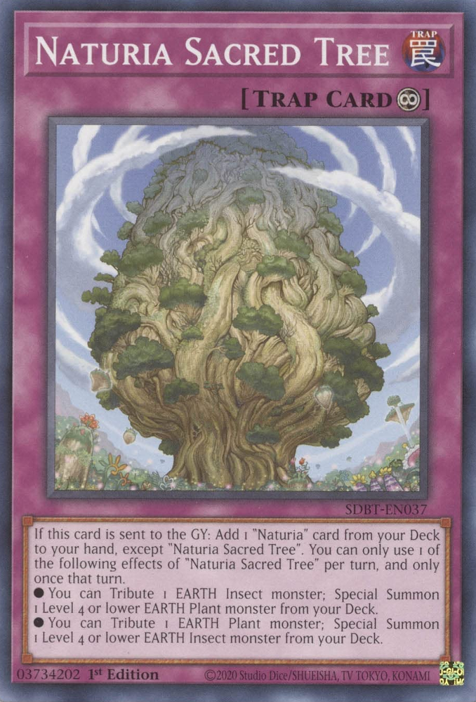 Naturia Sacred Tree [SDBT-EN037] Common | GnG Games