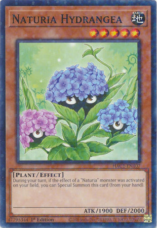 Naturia Hydrangea (Duel Terminal) [HAC1-EN107] Common | GnG Games