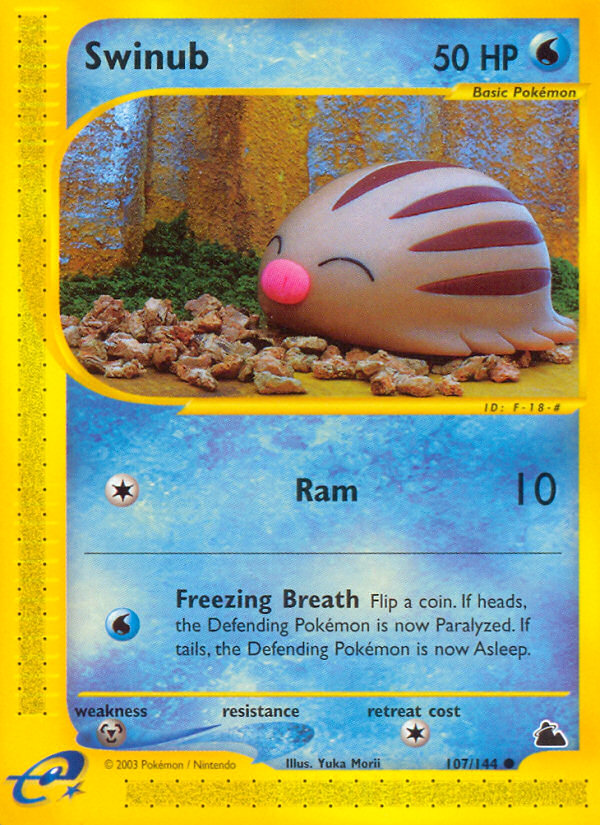 Swinub (107/144) [Skyridge] | GnG Games