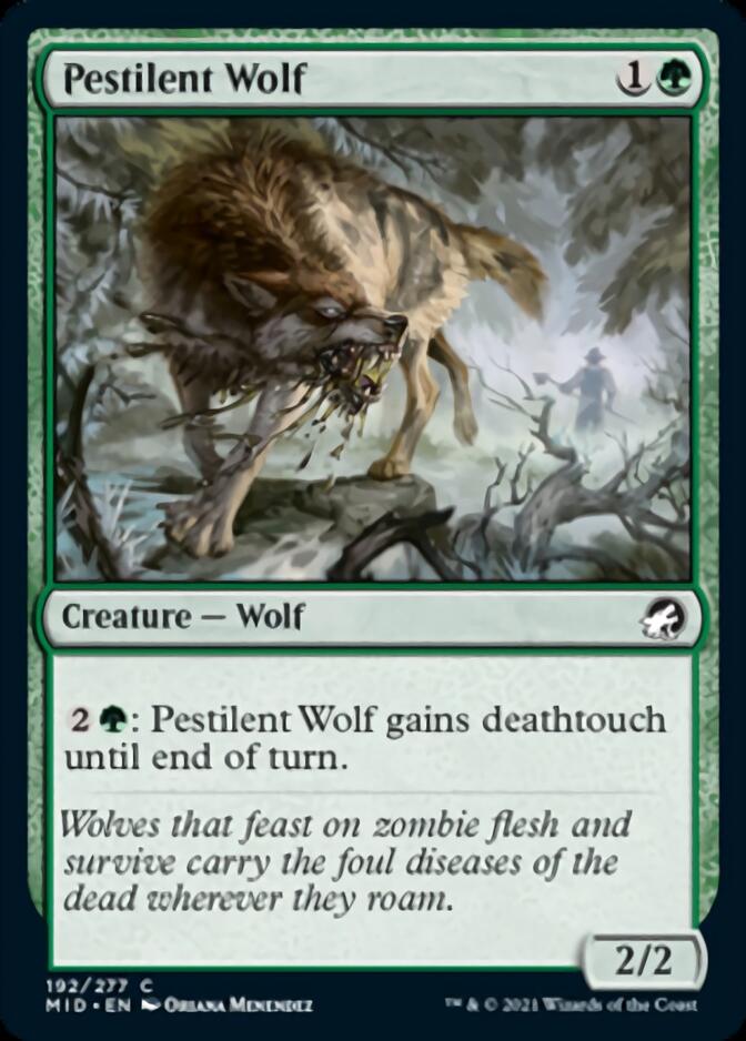 Pestilent Wolf [Innistrad: Midnight Hunt] | GnG Games