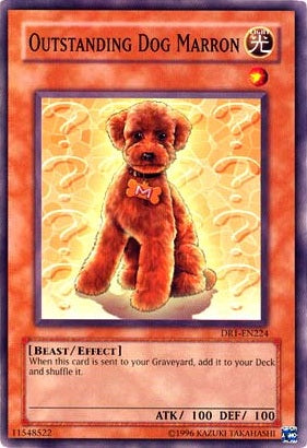 Outstanding Dog Marron [DR1-EN224] Common | GnG Games