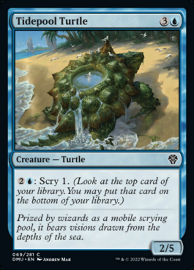 Tidepool Turtle [Dominaria United] | GnG Games