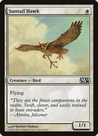 Suntail Hawk [Magic 2014] | GnG Games