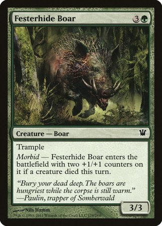 Festerhide Boar [Innistrad] | GnG Games