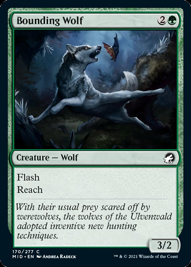 Bounding Wolf [Innistrad: Midnight Hunt] | GnG Games