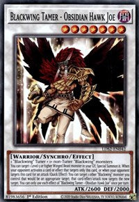 Blackwing Tamer - Obsidian Hawk Joe [LDS2-EN042] Common | GnG Games