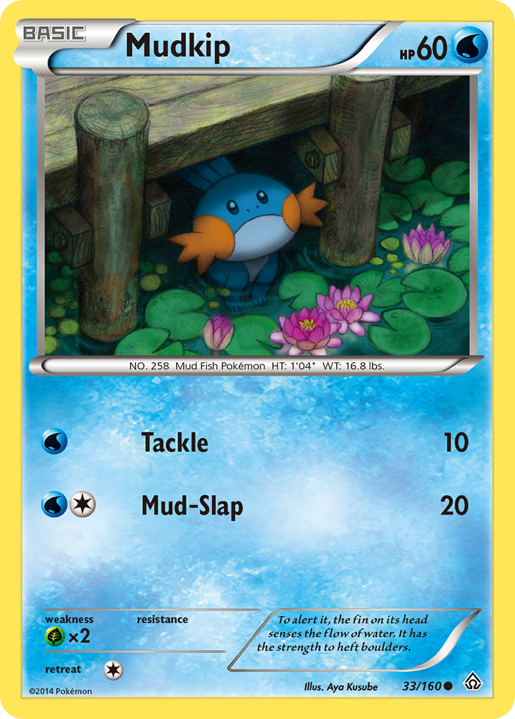 Mudkip (33/160) [XY: Primal Clash] | GnG Games