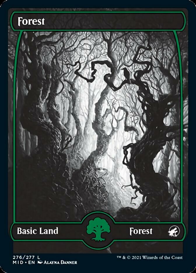 Forest (276) [Innistrad: Midnight Hunt] | GnG Games