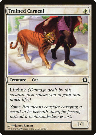 Trained Caracal [Return to Ravnica] | GnG Games