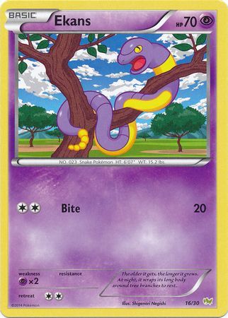 Ekans (16/30) [XY: Trainer Kit - Noivern] | GnG Games