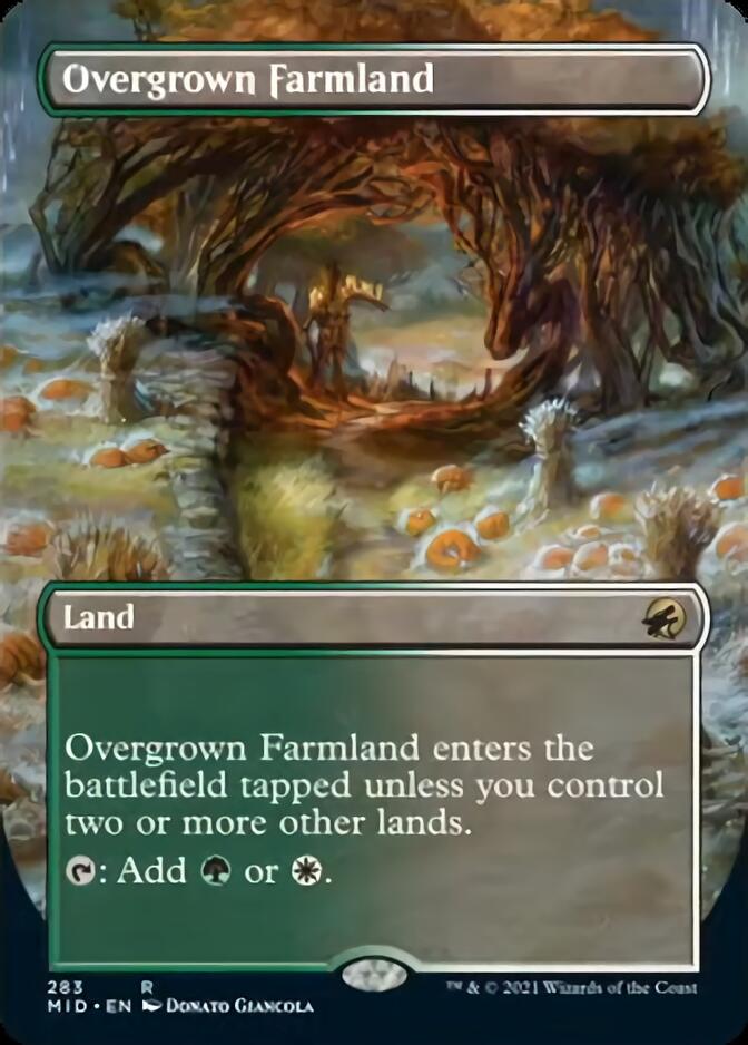 Overgrown Farmland (Borderless) [Innistrad: Midnight Hunt] | GnG Games
