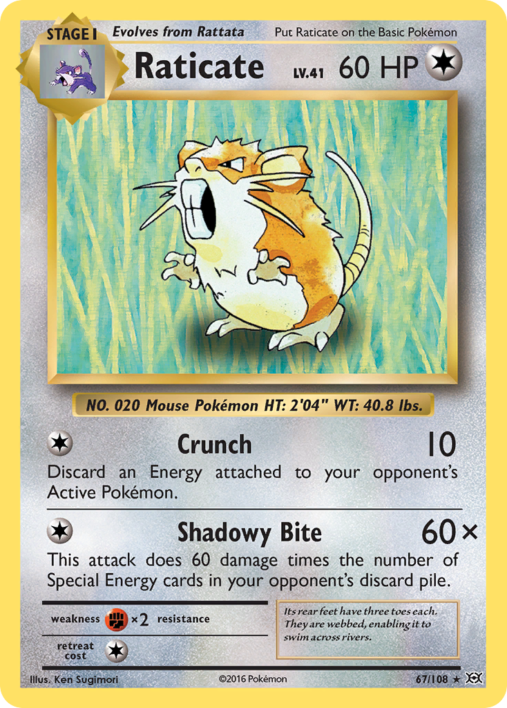 Raticate (67/108) [XY: Evolutions] | GnG Games