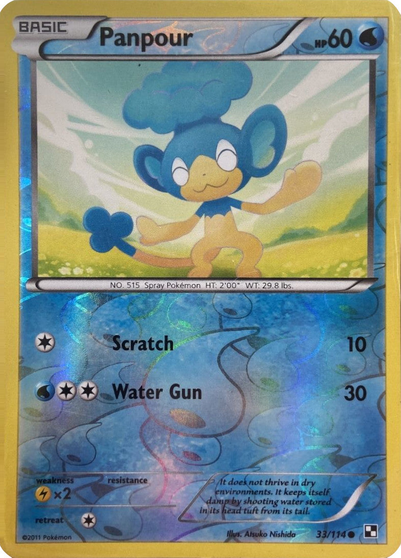 Panpour (33/114) (Energy Holo) [Black & White: Base Set] | GnG Games