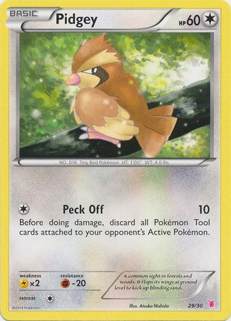 Pidgey (29/30) [XY: Trainer Kit 1 - Wigglytuff] | GnG Games