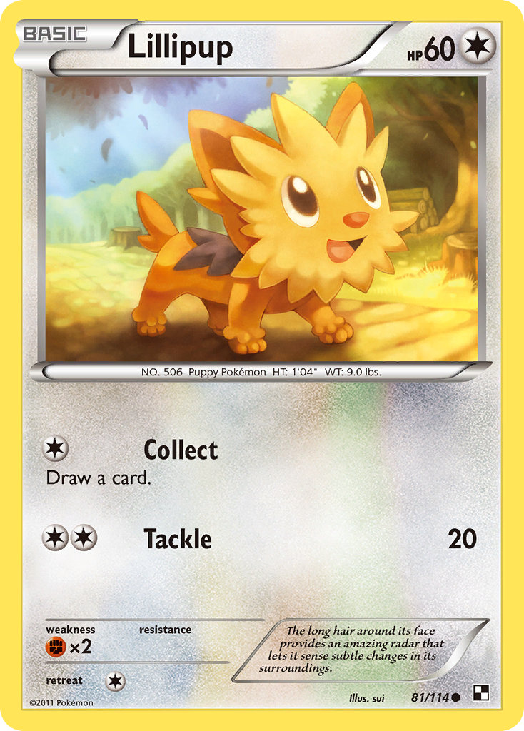 Lillipup (81/114) [Black & White: Base Set] | GnG Games