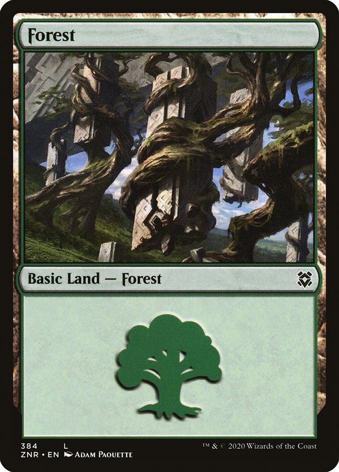 Forest (384) [Zendikar Rising] | GnG Games