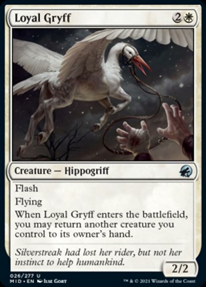 Loyal Gryff [Innistrad: Midnight Hunt] | GnG Games