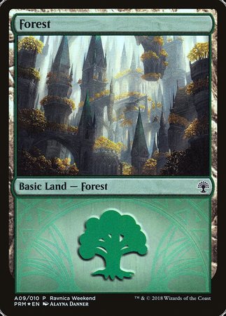 Forest - Selesnya (A09) [GRN Ravnica Weekend] | GnG Games