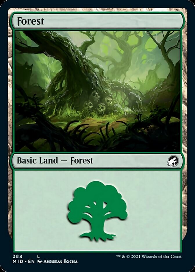 Forest (384) [Innistrad: Midnight Hunt] | GnG Games