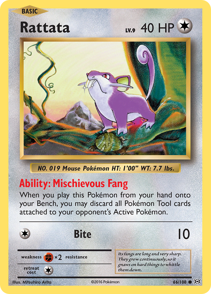 Rattata (66/108) [XY: Evolutions] | GnG Games