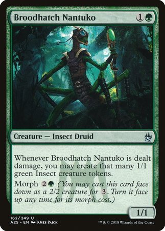 Broodhatch Nantuko [Masters 25] | GnG Games