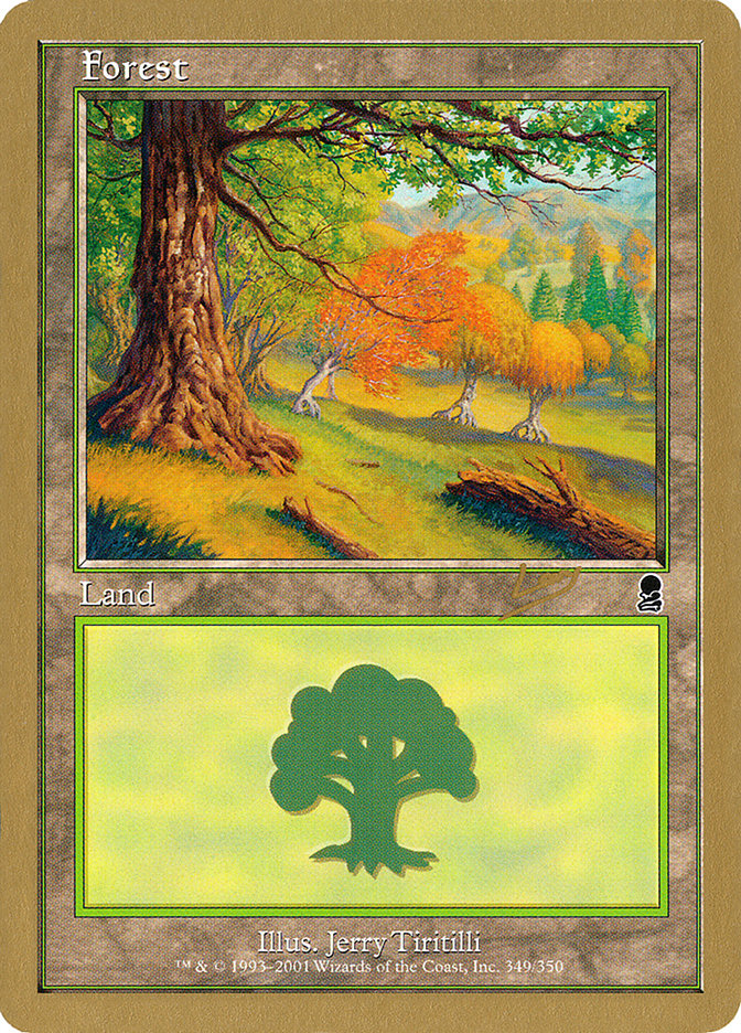 Forest (349) (Raphael Levy) [World Championship Decks 2002] | GnG Games