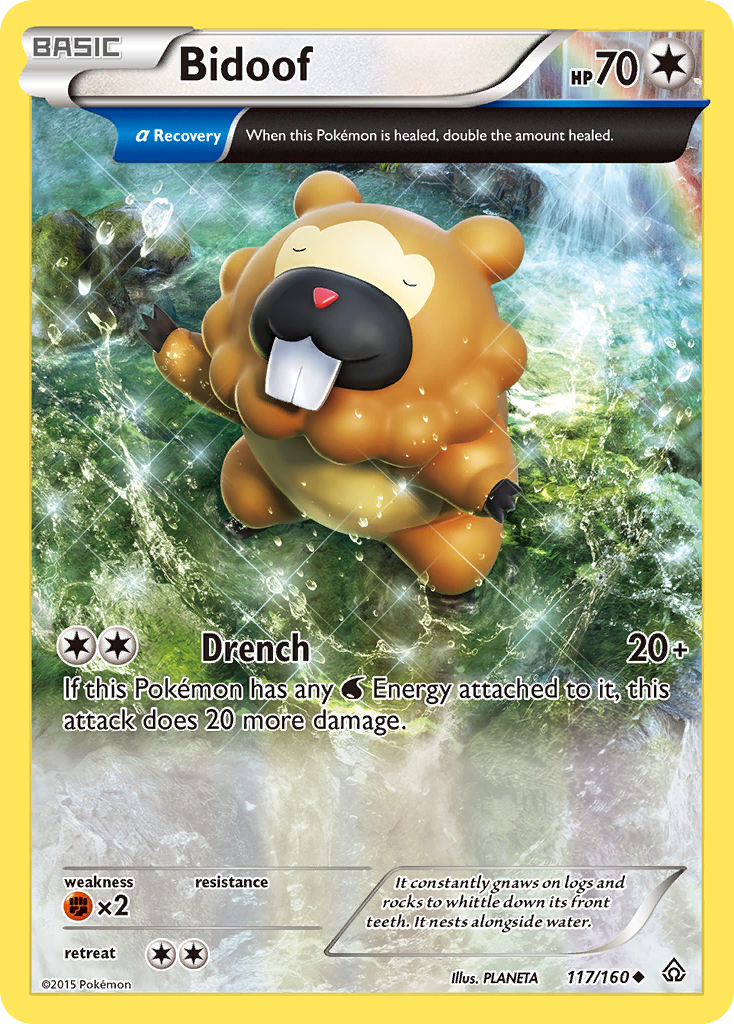 Bidoof (117/160) [XY: Primal Clash] | GnG Games