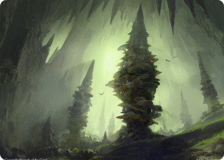 Forest (280) Art Card [Dungeons & Dragons: Adventures in the Forgotten Realms Art Series] | GnG Games