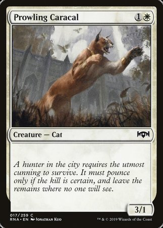 Prowling Caracal [Ravnica Allegiance] | GnG Games